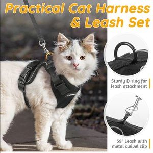 NWT Car harness and leash set